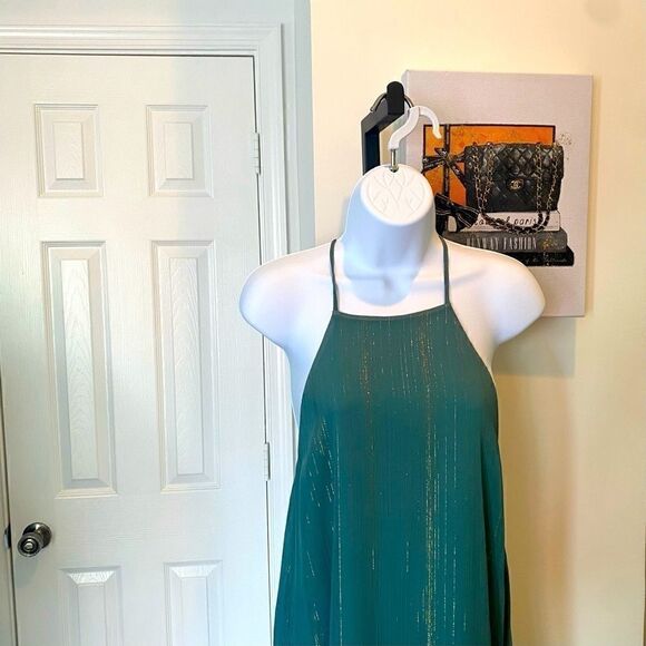 Sparkle & Shine Sage Bronte Maxi Dress (S) - Picture 5 of 10